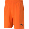 Puma teamRise Short Prist M 704942 08 Clothing/Training Puma