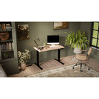 Electric height adjustable desk MOON 121x67x72-120 black/wotan Biurka/Biurka nowoczesne Your Sports Performance
