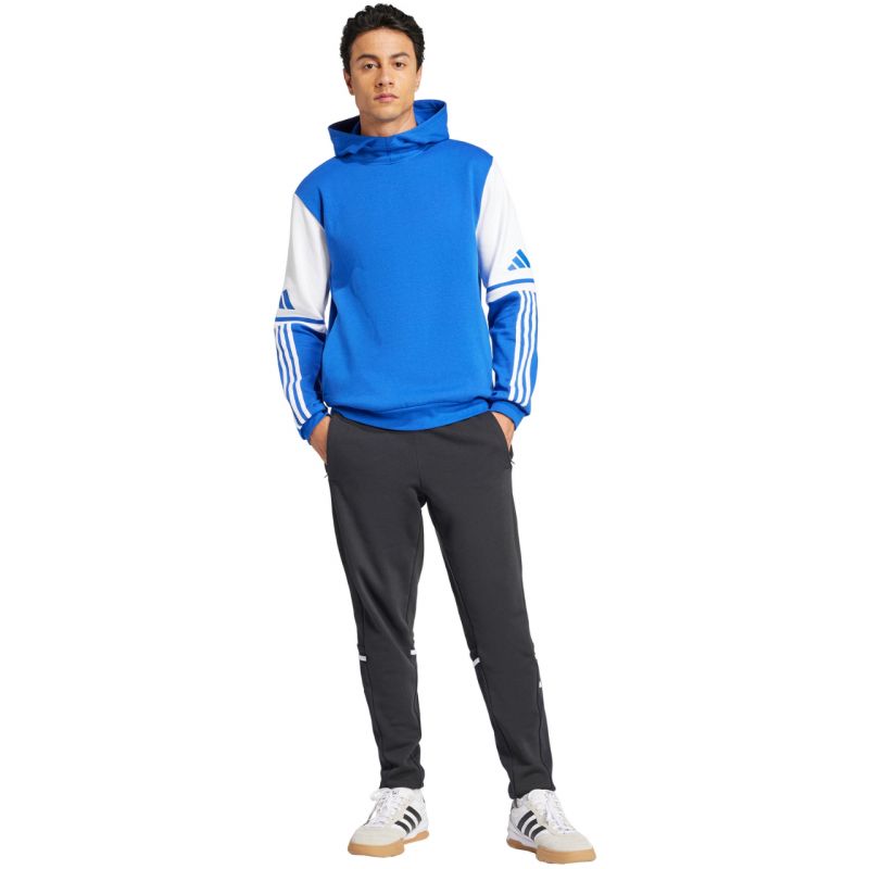 Adidas Squadra 25 Sweat M JD2974 sweatshirt Clothing/Football Adidas