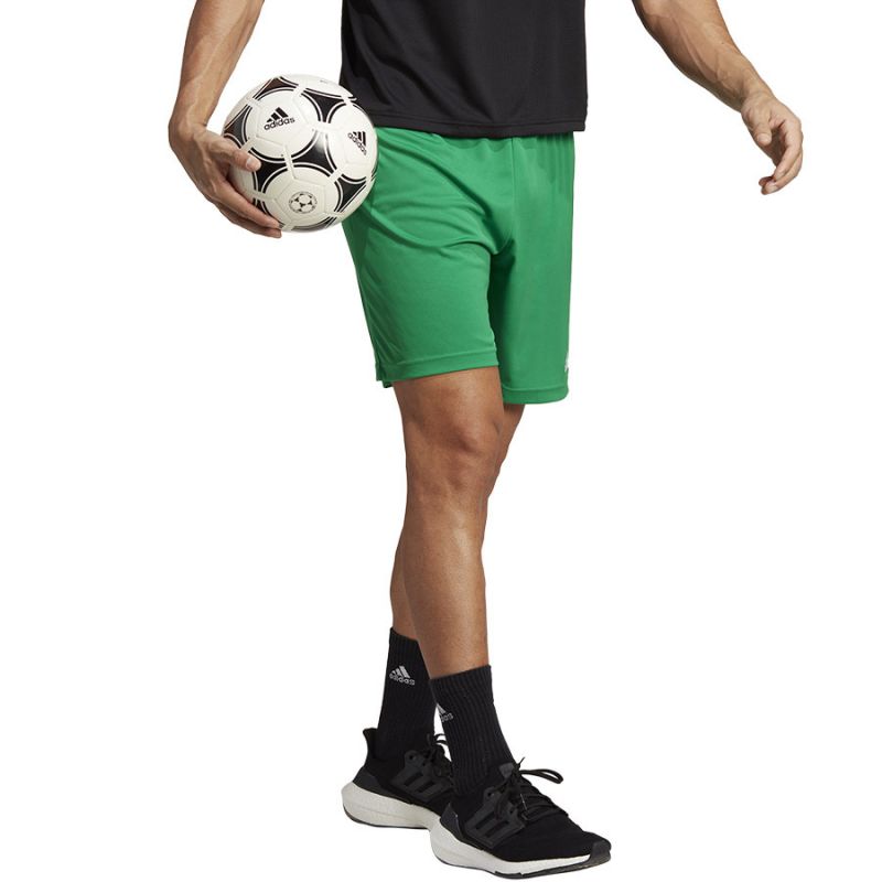 Adidas ENTRADA 22 Short M IC7405 shorts Clothing/Football Adidas