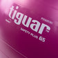 Tiguar safety plus ball 65 cm TI-SP0065S Accessories/Training equipment Your Sports Performance