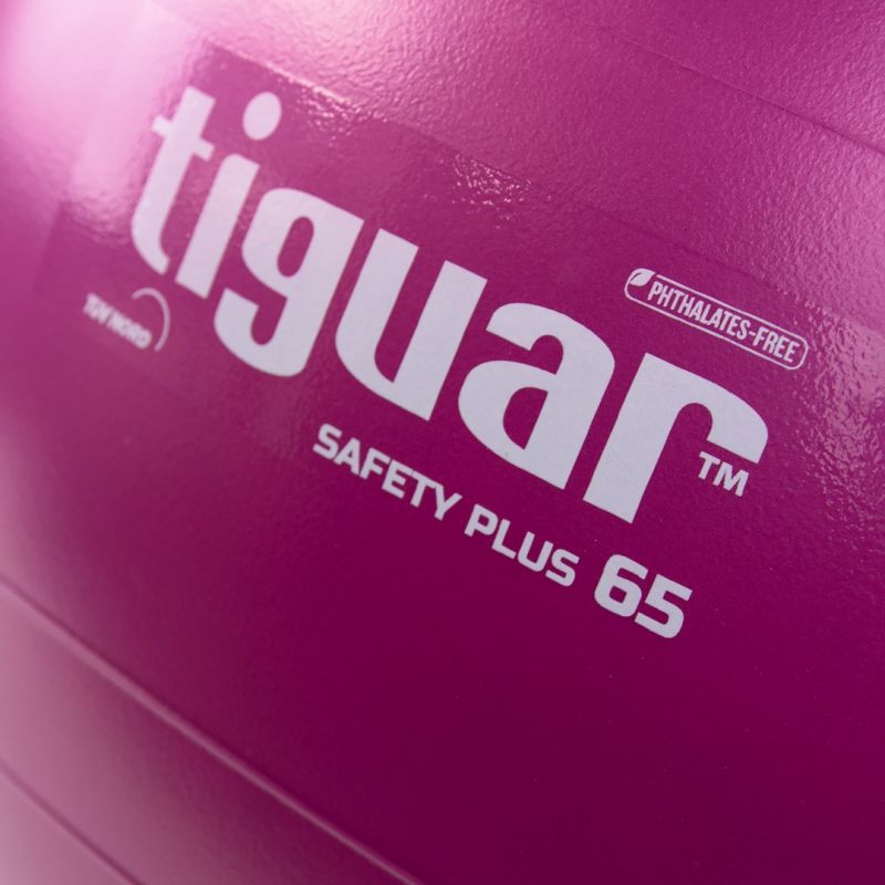 Tiguar safety plus ball 65 cm TI-SP0065S Accessories/Training equipment Your Sports Performance
