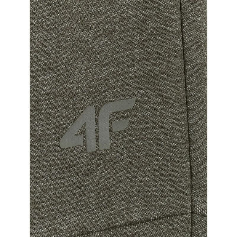Men's jogger sweatpants 4F 4FRAW25TTROM1691-43M 4f