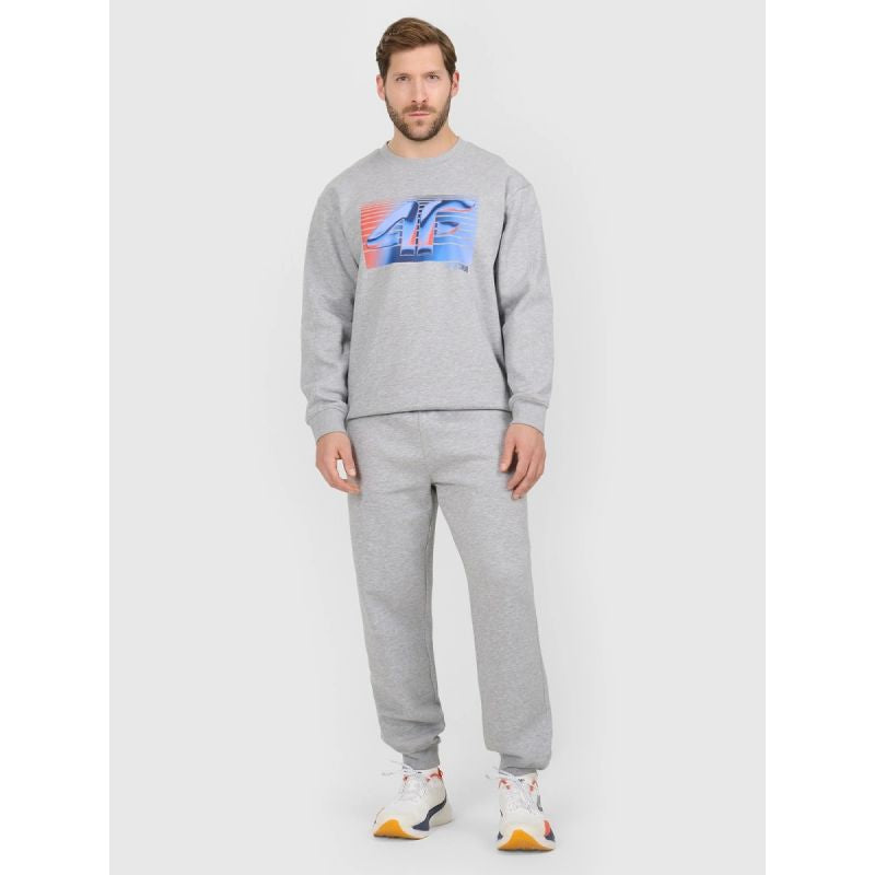 Men's jogger sweatpants 4F 4FRAW25TTROM1832-27M 4f