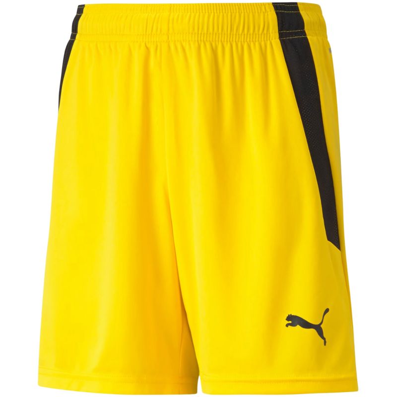 Puma teamLIGA Shorts Jr 704931 07 Clothing/Football Your Sports Performance