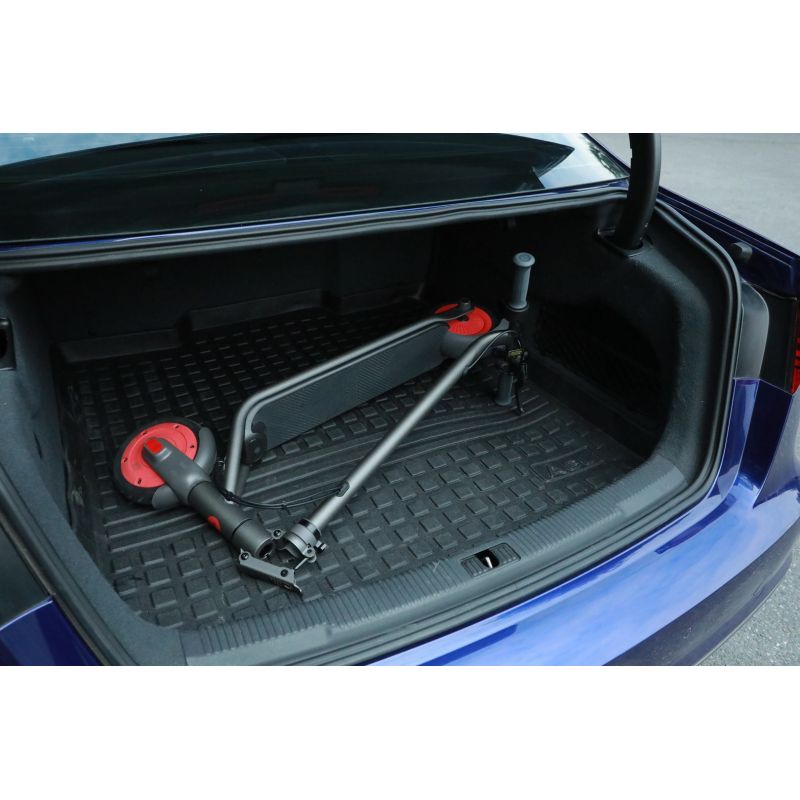 Segway-electric scooter ZING C20 Import z Action/Skating/Hulajnogi elektryczne Your Sports Performance