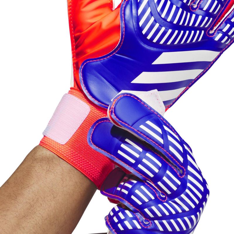 Adidas Predator Training IX3870 goalkeeper gloves Accessories/Gloves Adidas
