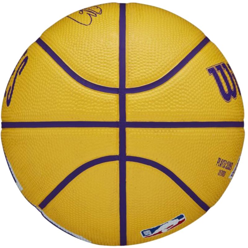 Ball Wilson NBA Player Icon Stephen Curry Mini Ball WZ4007401XB Accessories/Balls/Basketball Your Sports Performance