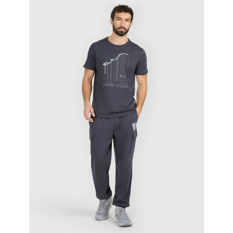 Men's regular printed T-shirt 4F 4FRAW25TTSHM3845-22S 4f