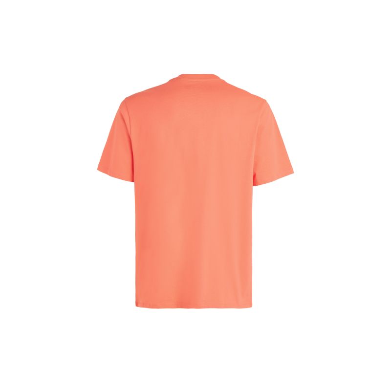 O'Neill Cali Original T-Shirt M 92800613165 ONeill