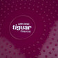 Tiguar (air disc) stabilizing disc DR-GT0001 Accessories/Training equipment Your Sports Performance