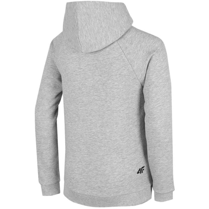 Sweatshirt 4F Jr HJZ22 JBLM002 25M Clothing/Training Your Sports Performance