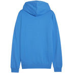 Puma Team Goal Casuals Hooded M 658595 02 sweatshirt Clothing/Football Puma