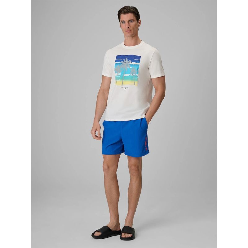 Men's regular printed T-shirt 4F 4FRSS26TTSHM4291-11S