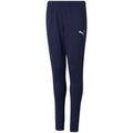 Puma teamRISE Poly Training Pants Junior 657391 06 Clothing/Training Puma