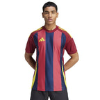 Adidas Striped 24 JSY M T-shirt IW2149 Clothing/Football Adidas