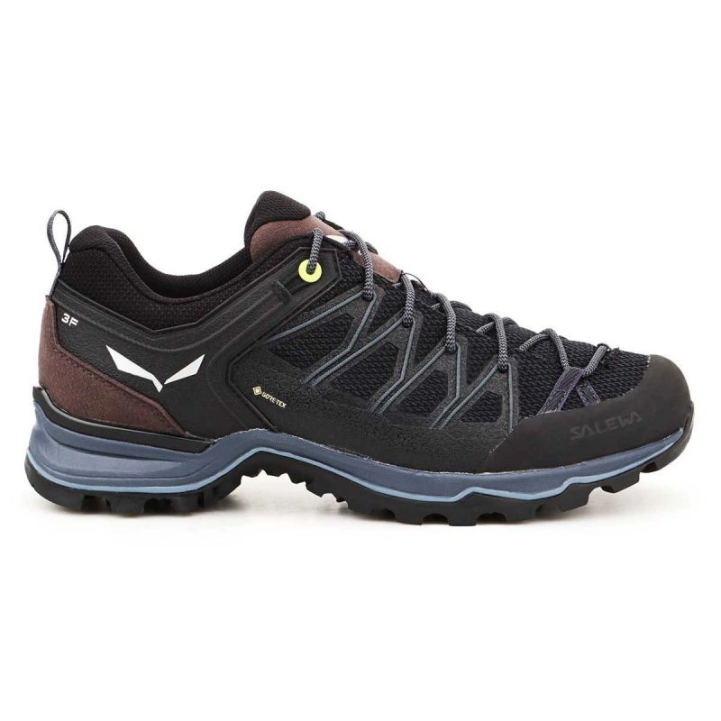 Salewa Mtn Trainer Lite GTX M 61361-0971 shoes