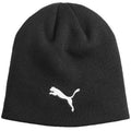 Puma Individual Winterized Tech M 024943 01 cap Clothing/Football Puma