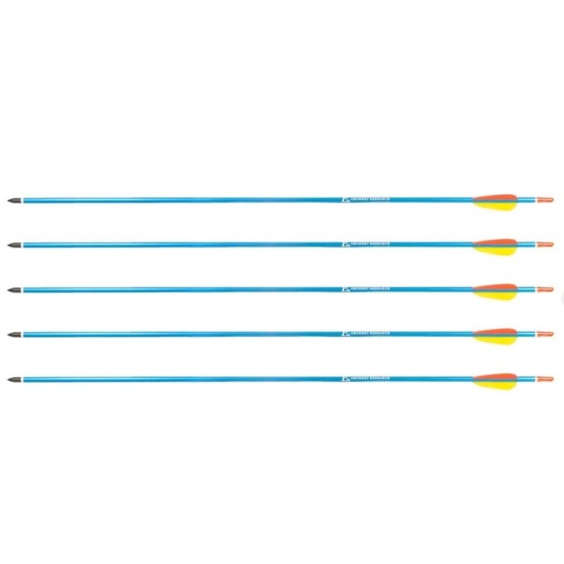 Aluminum Arrows 30" BLUE Poe Lang - Set of 5 Import z Action/Strzelectwo/Strzały do łuków Your Sports Performance