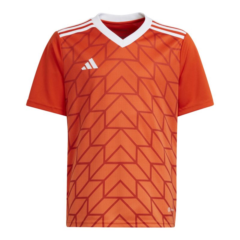 Adidas Team Icon 23 Jr T-shirt IC1254 Clothing/Football Adidas