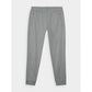 Men's quick-drying training pants 4F 4FWAW24TFTRM681-25M 4f