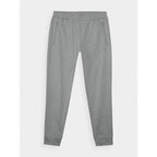 Men's quick-drying training pants 4F 4FWAW24TFTRM681-25M 4f