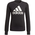 Sweatshirt adidas Essentials Big Logo Jr GP0040 Clothing/Lifestyle Adidas