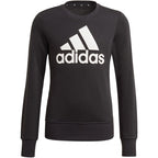 Sweatshirt adidas Essentials Big Logo Jr GP0040 Clothing/Lifestyle Adidas