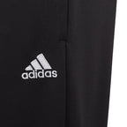 Pants adidas Entrada 22 Jr HC0337 Clothing/Training Adidas