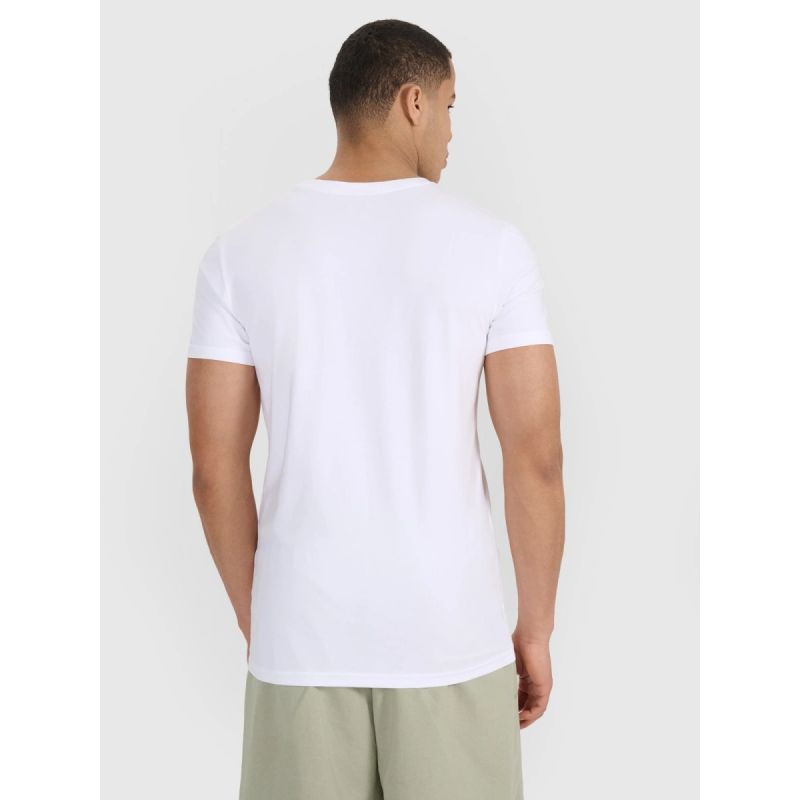 Slim men's t-shirt (2-pack) men's 4F 4FRMM00TTSHM3068-10S