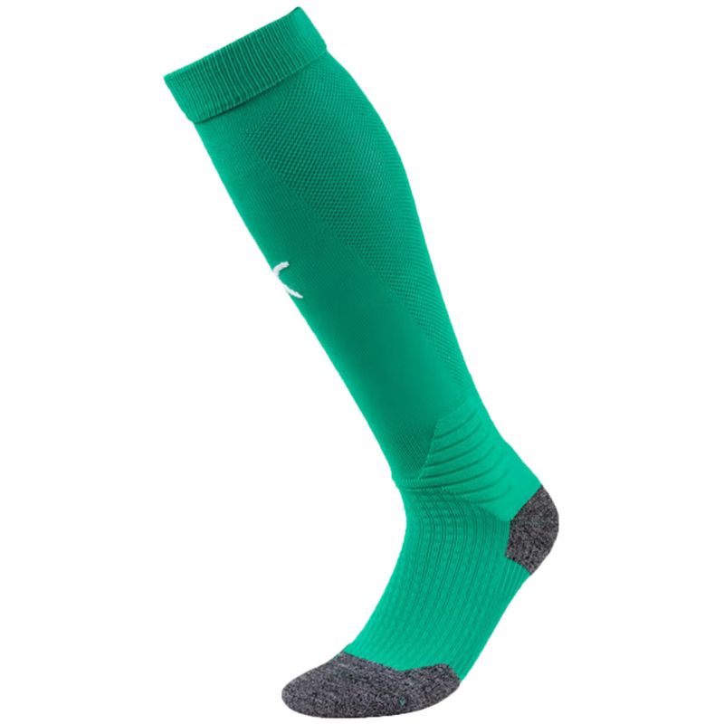 Puma Team Liga football tights 703438 05 Clothing/Football Puma