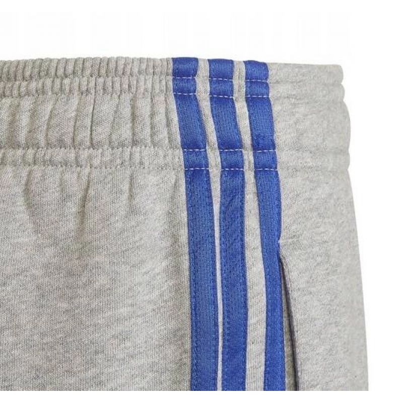 Adidas Trainings Jr HN6712 pants Clothing/Training Adidas