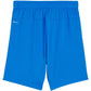 Puma Team Goal kids' shorts blue 705753 02 In preparation Your Sports Performance