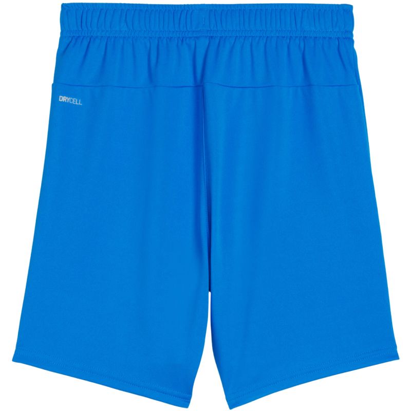Puma Team Goal kids' shorts blue 705753 02 In preparation Your Sports Performance