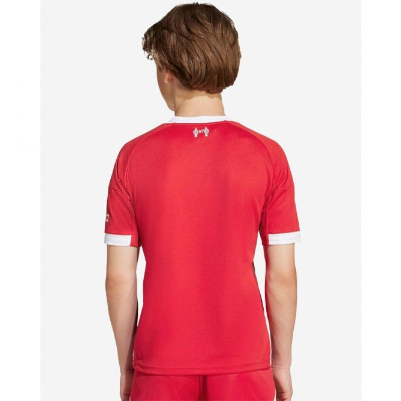 adidas Liverpool LFC Home Jr JV6436 Jersey Clothing/Football Adidas