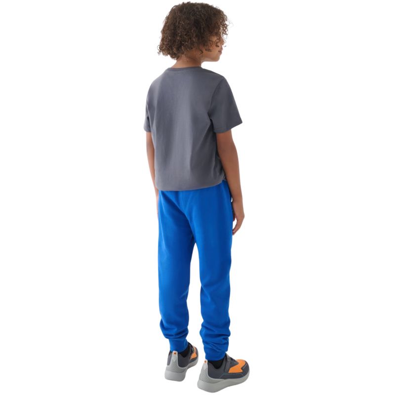 Trousers 4F M0810 Jr 4FJWMM00TTROM0810 36S Clothing/Lifestyle/Trousers, shorts/4F 4F