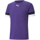 Puma teamRise Jersey M 704932 10 Clothing/Training Puma