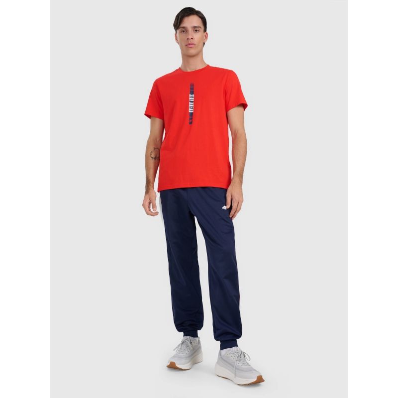 Men's regular printed T-shirt 4F 4FRAW25TTSHM3225-62S *Kategoria tymczasowa Your Sports Performance