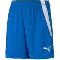 Puma teamLIGA Shorts Jr 704931 02 Clothing/Training Your Sports Performance