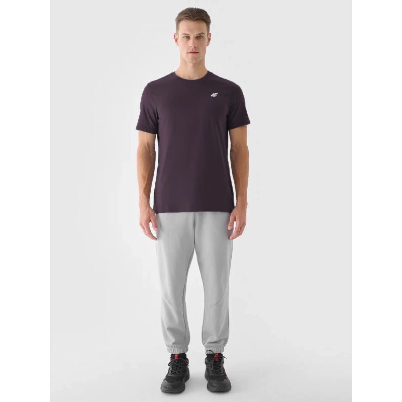 Men's cotton T-shirt 4F 4FWSS25TTSHM3096-50S *Kategoria tymczasowa Your Sports Performance