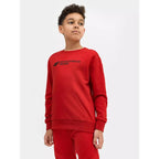 Sweatshirt 4F Jr. 4FJSS23TSWSM222-62S Clothing/Lifestyle/4F 4F