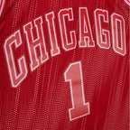 Mitchell & Ness NBA Jersey Swingman Monochrome Chicago Bulls Derrick Rose - TFSM1280-CBU08DRSRED1 Koszulki NBA Your Sports Performance