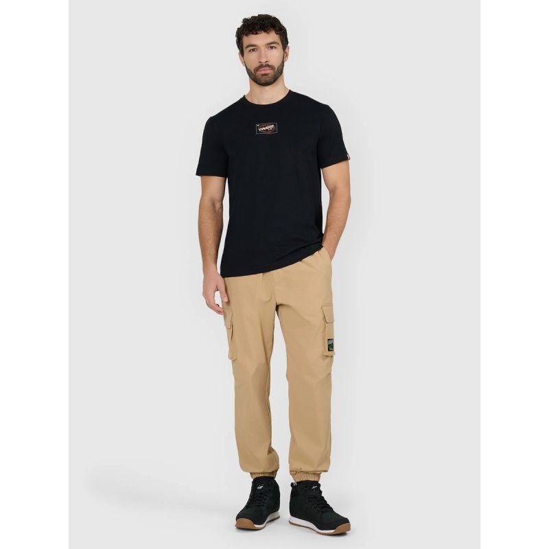 Men's regular printed T-shirt 4F 4FRAW25TTSHM3377-20S 4f