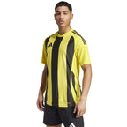 Adidas Striped 24 JSY M T-shirt IW2146 Clothing/Football Adidas