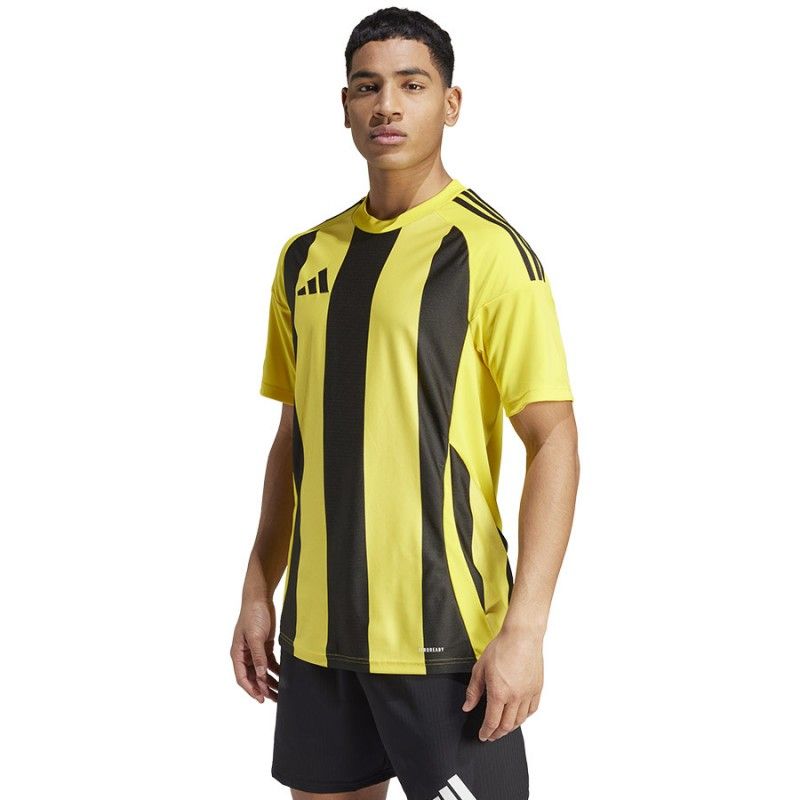 Adidas Striped 24 JSY M T-shirt IW2146 Clothing/Football Adidas