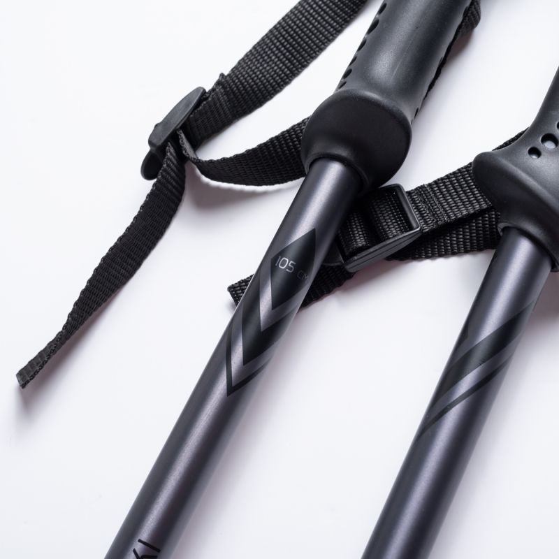 ALPINE SKI II poles In preparation Your Sports Performance