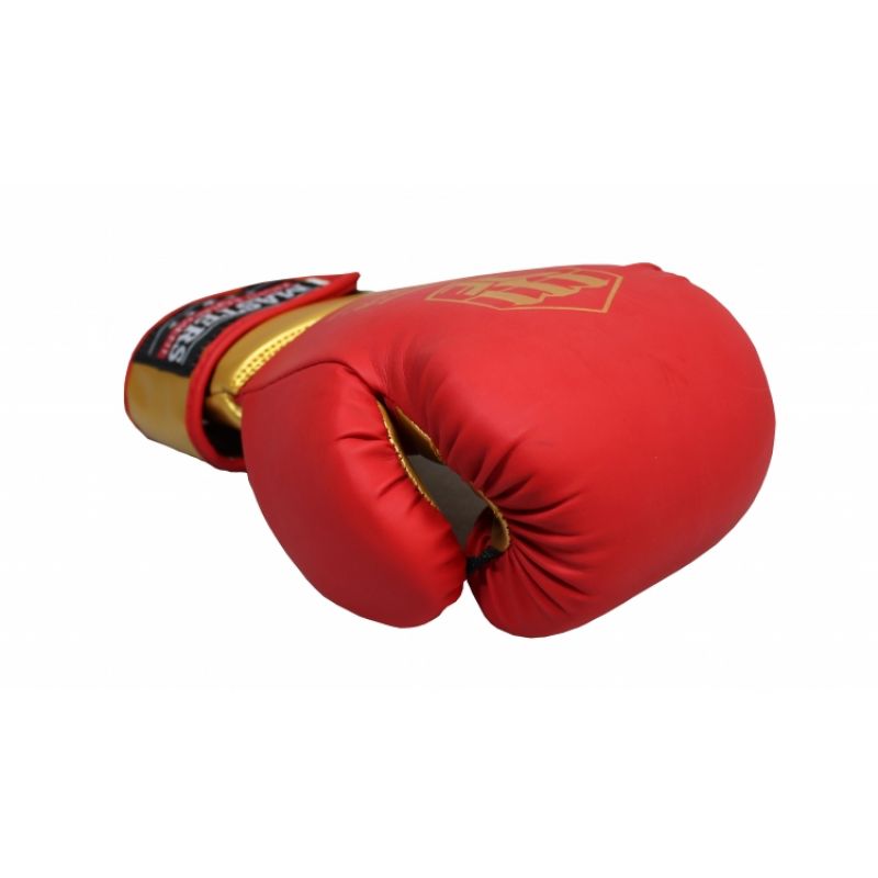 Masters Boxing Gloves RPU-COLOR/GOLD 10 oz 01439-0210 Accessories/Gloves Your Sports Performance