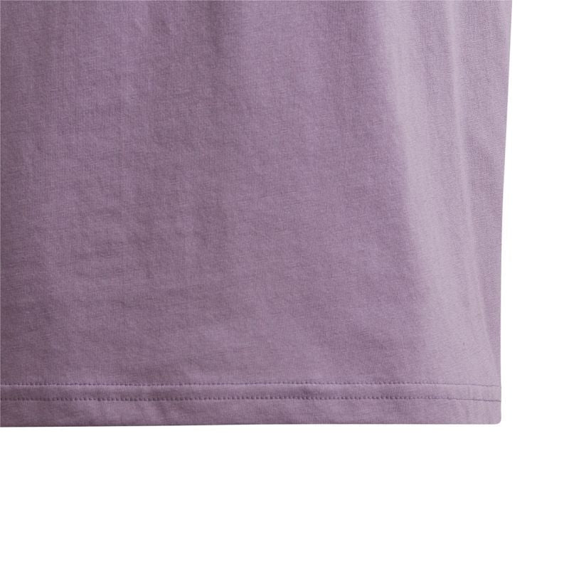 Adidas Essentials Big Logo Cotton Tee Jr IJ7061 Clothing/Training Adidas