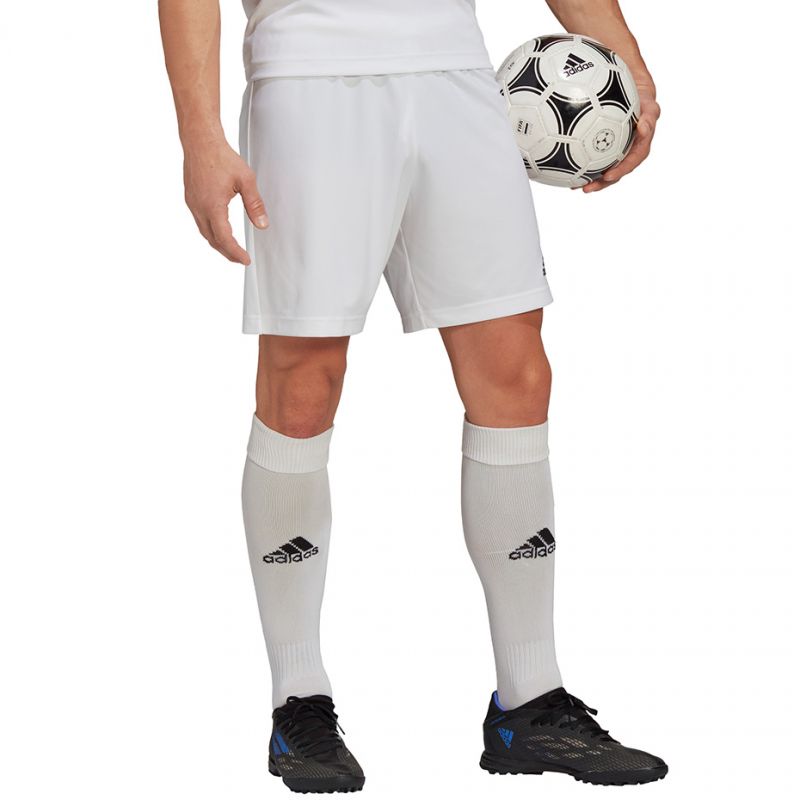 Adidas Entrada 22 M HG6295 shorts Clothing/Football Adidas