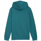 Puma ESS No. 1 Logo Hoodie for Kids Green 684909 41